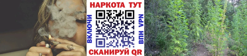 Купить Куровское Кокаин  Канабис  Метадон  Гашиш  Амфетамин  Меф мяу мяу  APVP 