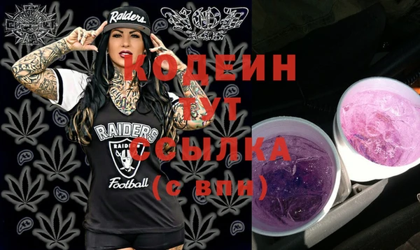 стаф Новозыбков