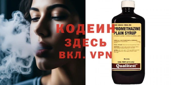 стаф Новозыбков