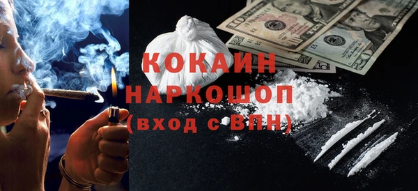 стаф Новозыбков