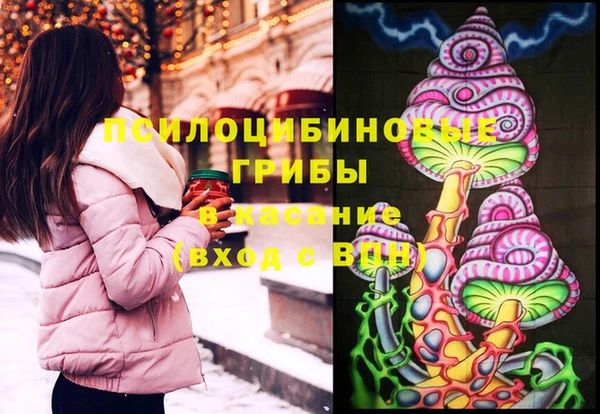 гашиш Новодвинск