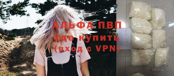 стаф Новозыбков