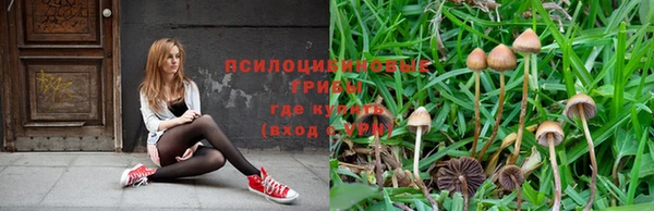герыч Новокубанск