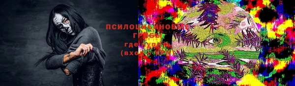 стаф Новозыбков