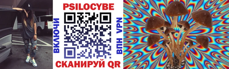 хочу   Куровское  Псилоцибиновые грибы Psilocybe 